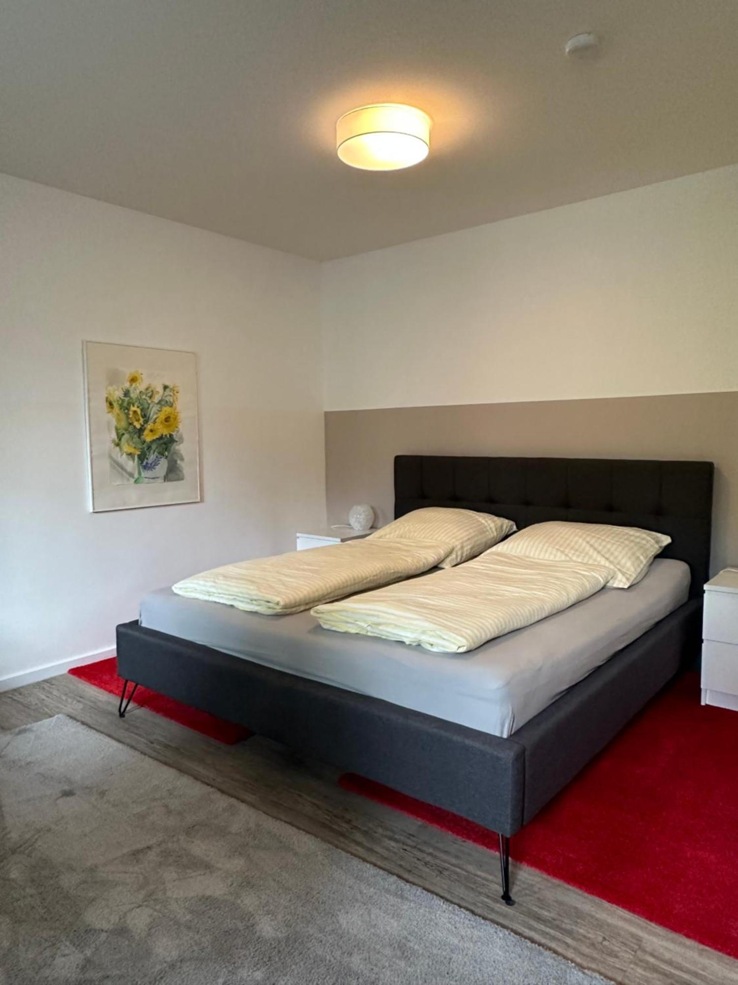 דירות פלאנסבורג Am Kleinen Muehlenteich - Zentrale Ruhige Lage Mit Parkplatz Und Fahrraedern מראה חיצוני תמונה